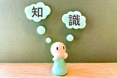 知識の画像